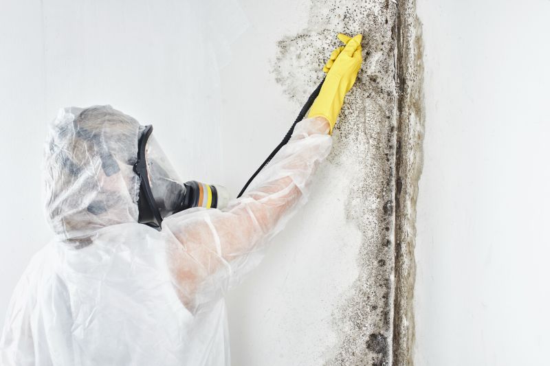 Mold Prevention and Control
