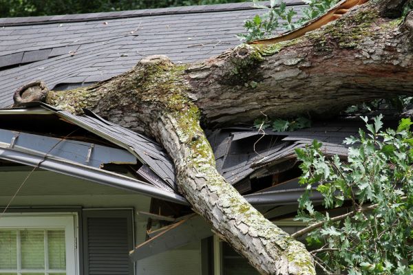 Storm Remediation in Downingtown