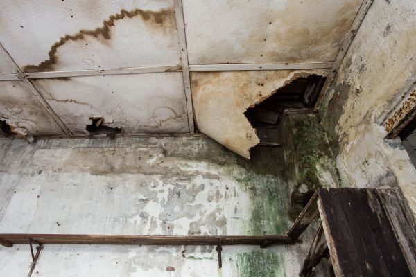 Water Damage Service in Downingtown