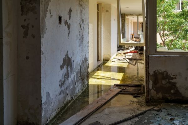 Water Removal Service in Downingtown