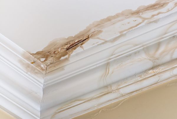 Water Damage Recovery in Downingtown